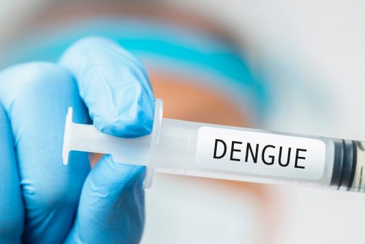 Qdenga: imunizante contra a dengue.